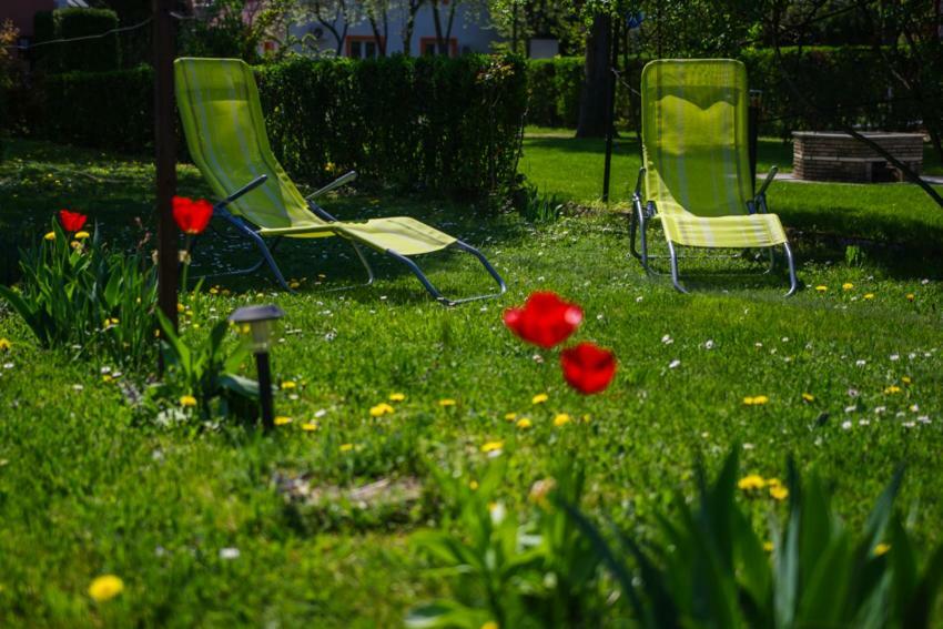 Titi Classic & Trendy Apartman Bük エクステリア 写真
